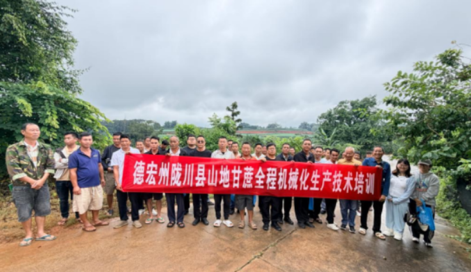 补齐山地生产短板：陇川开展丘陵山区甘蔗生产机械化技术培训