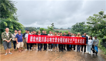 补齐山地生产短板：陇川开展丘陵山区甘蔗生产机械化技术培训